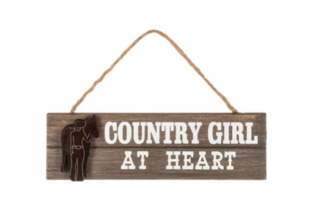 Ganz Assorted Hanging Western Signs