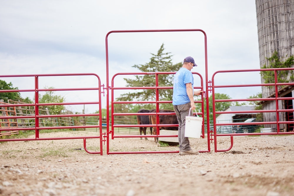 Tarter 6ft American Walk Thru Gate