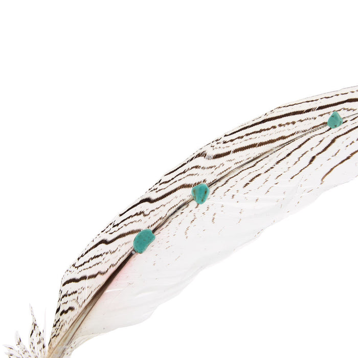 Austin Accent Inc. White Feather with Turquoise Stones