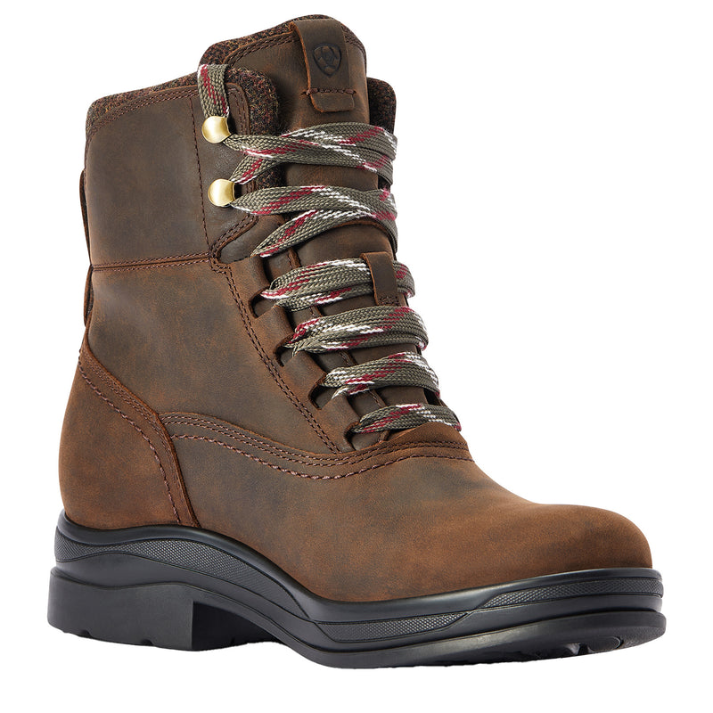 Ariat Women's Chocolate H20 Harper Boot