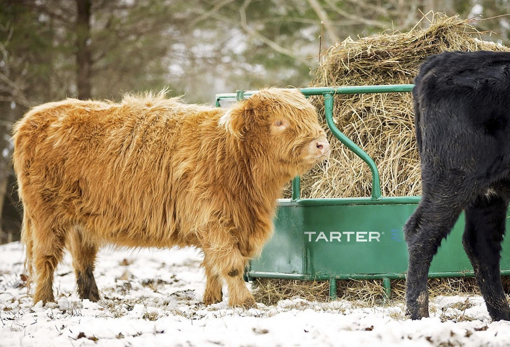 Tarter Cattle Flex Feeder