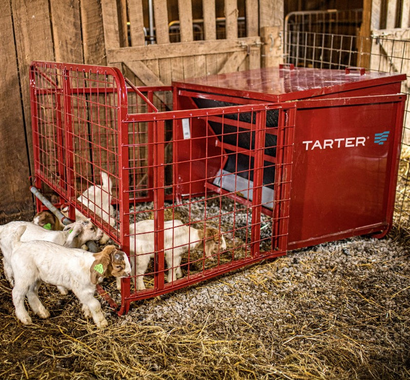 Tarter Goat Creep Feeder
