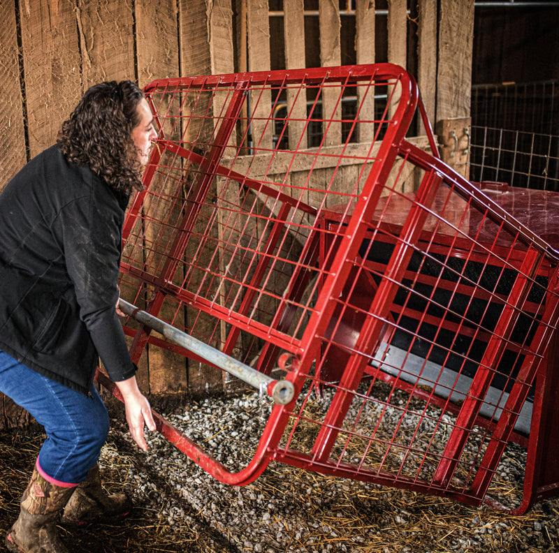 Tarter Goat Creep Feeder