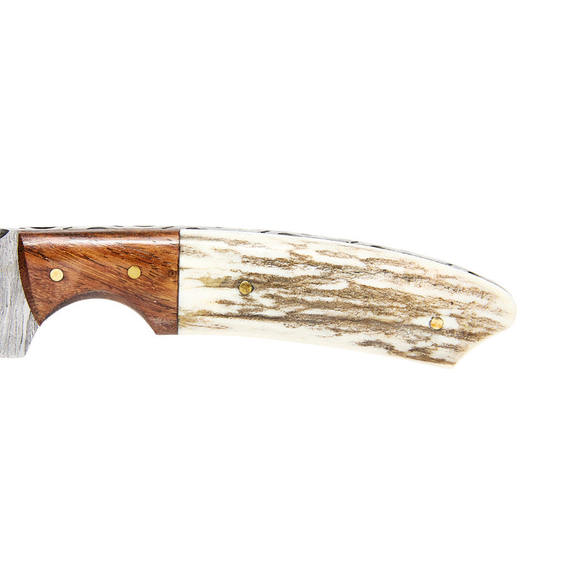 Western Fashion Circle SH Cutlery Damascus Wood & Bone Drop Point Knife with Sheath