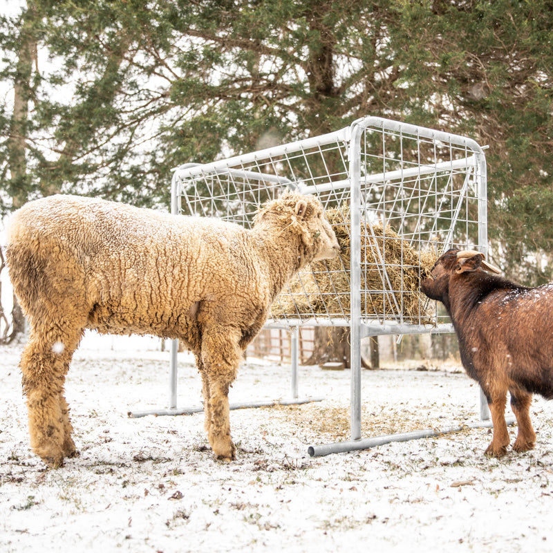 Tarter Goat Hay Rack