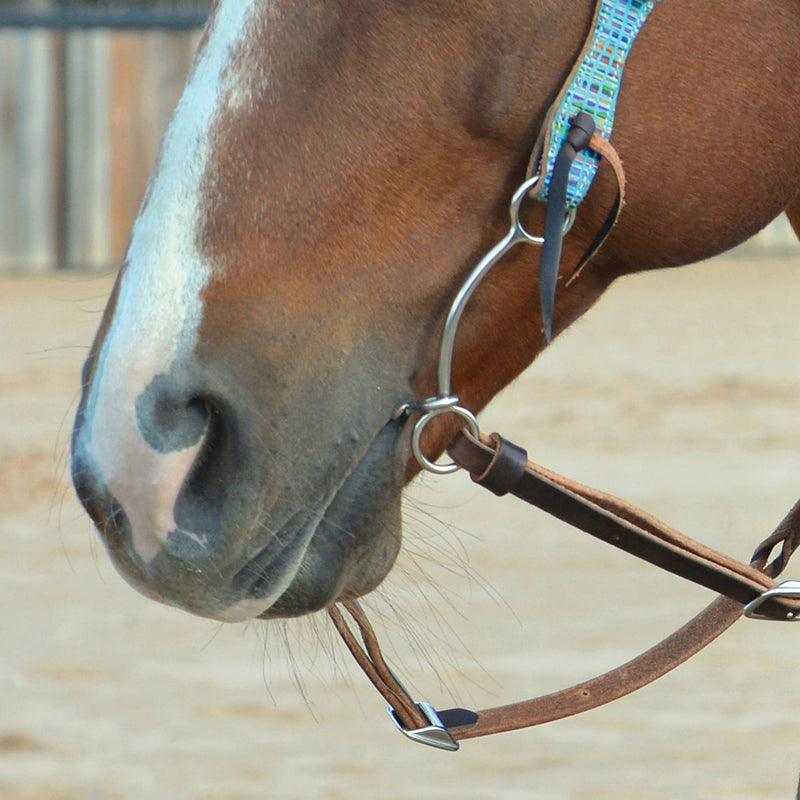 Classic Carol Goosetree Simplicity Twisted Wire Snaffle Gag Bit