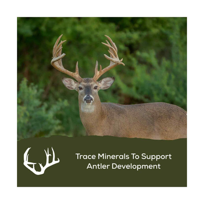 Cargill Animal Nutrition Golden Deer Nuggets