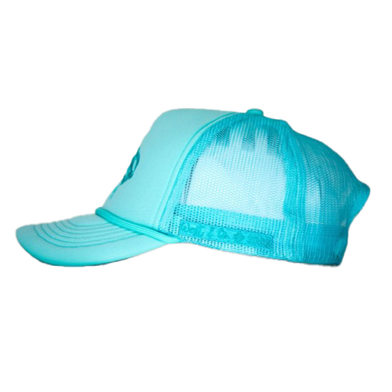 West And Company Co Turquoise Embroidered Bucking Horse Cap