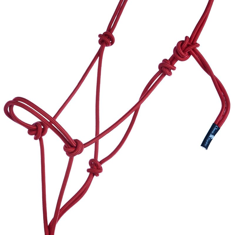 Classic Econo Halter and 9-Foot Leadrope