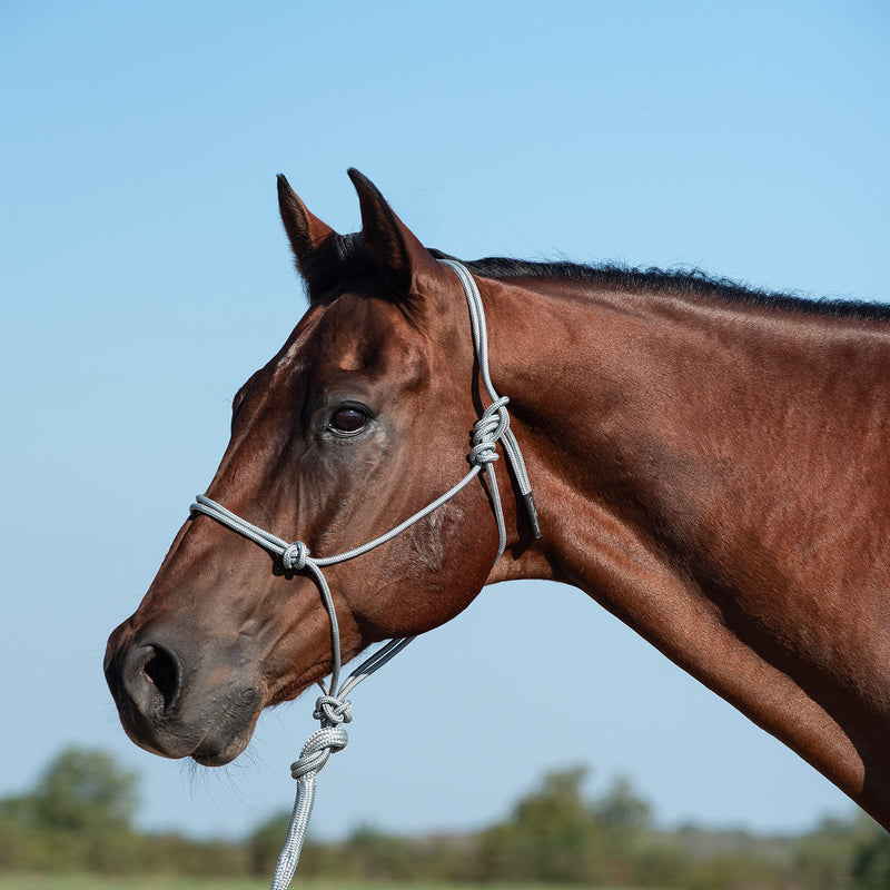 Classic Equine Halter with 9ft Leadrope