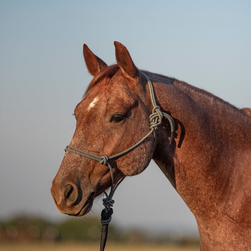 Classic Equine Halter with 9ft Leadrope