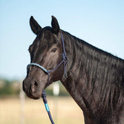 Classic 3-Tone Halter and 9-Foot Leadrope