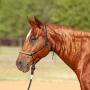 Classic 3-Tone Halter and 9-Foot Leadrope
