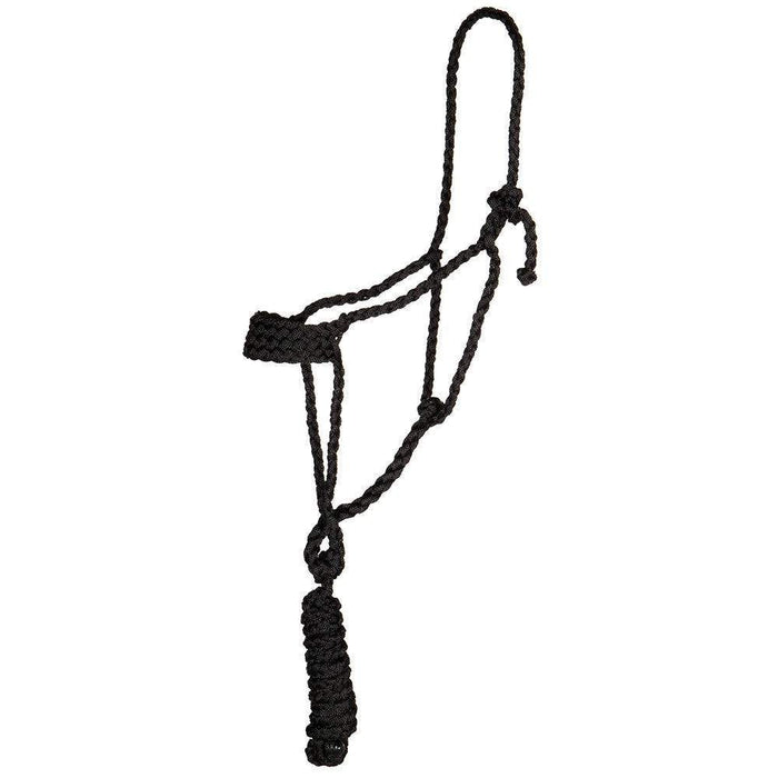 Classic Wide Nose Mule Tape Halter With Lead Rope