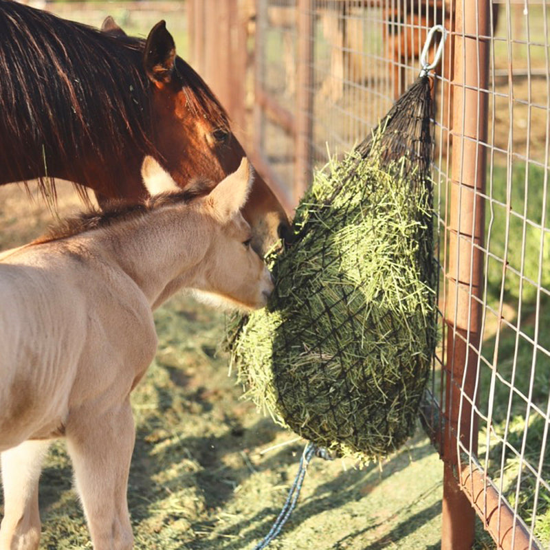 Haychix Half Bale 1 3/4 Inch Redemption Ruby Hay Net