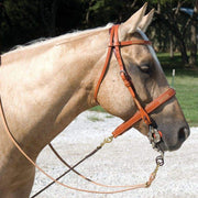 Martin Saddlery Browband Headstall with Rawhide Lacing