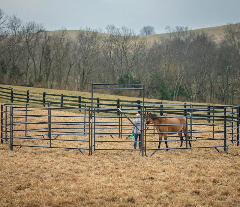 Tarter Equimax Ride-Thru Bowgate 6ft x 9ft with 6ft Gate