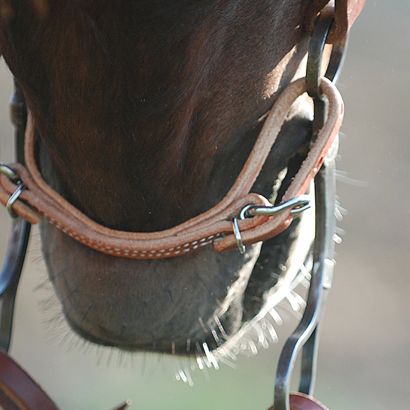 Martin Saddlery Hermann Oak Leather Curb Strap