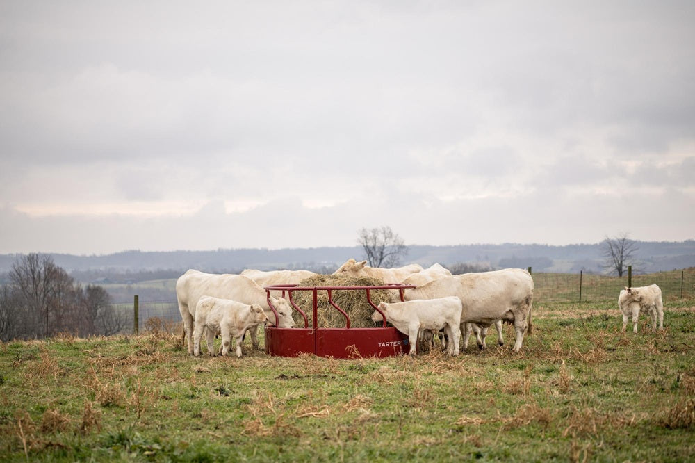 Tarter Titan Bull Round Bale Feeder