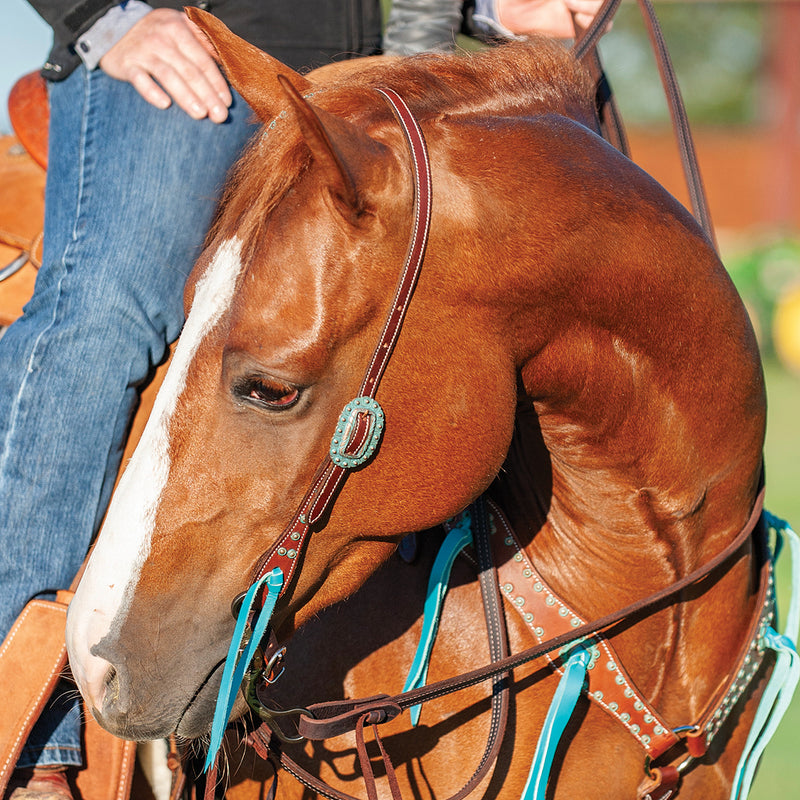 Martin Saddlery Copper Patina Spots Single Ear Headstall with Turquoise Blood Knots