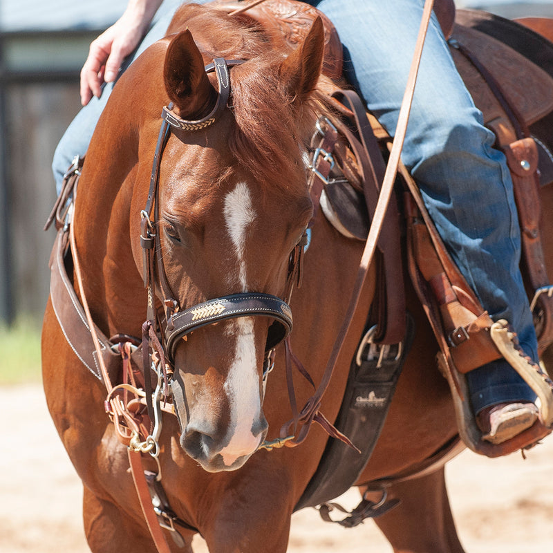 Martin Saddlery Rawhide Laced Chocolate Noseband
