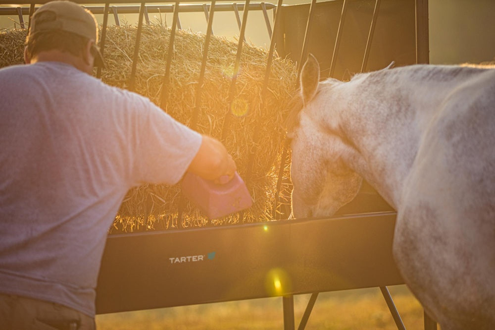 Tarter Equine Elevated Hay Grain Feeder