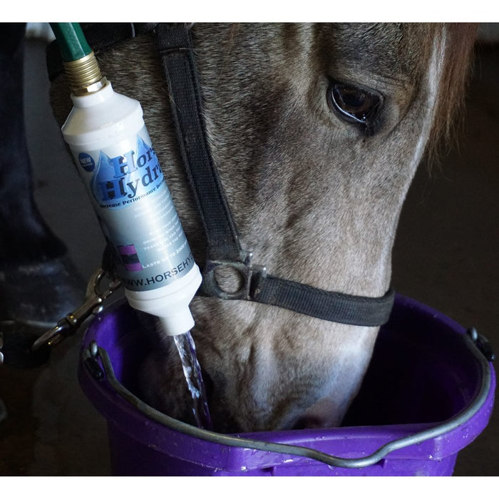 Chism Technologies Horse Hydrator Water Filter