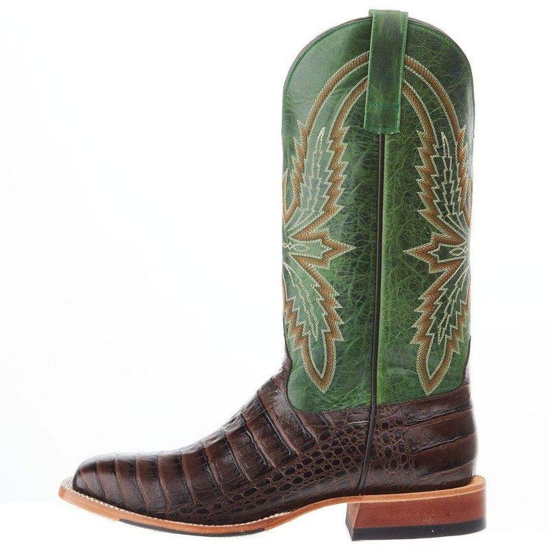Horsepower Boots Men's Chocolate Caiman Print Cowboy Boot