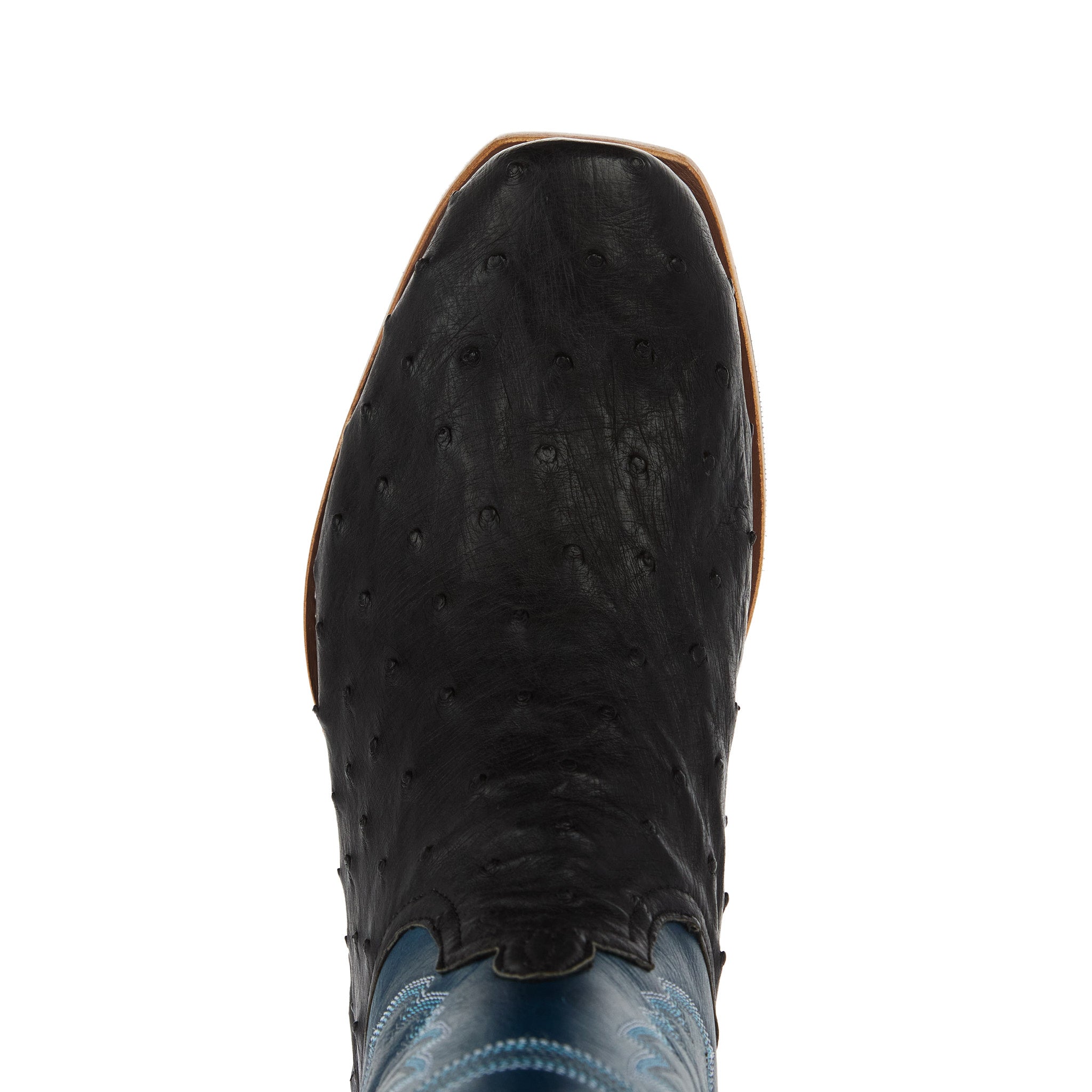 Horse Power Top Hand Men`s Black Full Quill Ostrich 13In Azure New