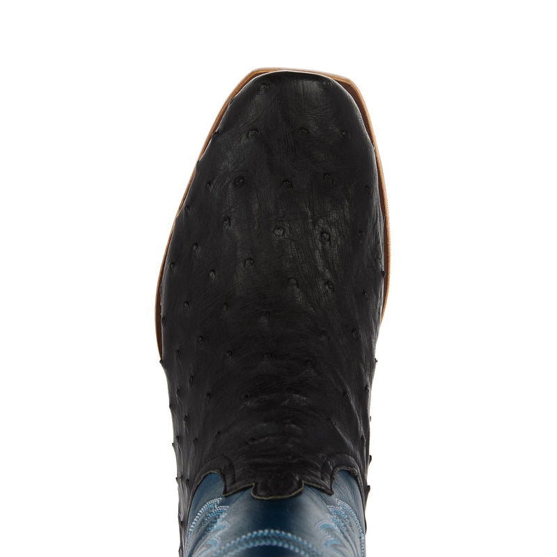 Horse Power Top Hand Men`s Black Full Quill Ostrich 13In Azure New Orleans Top
