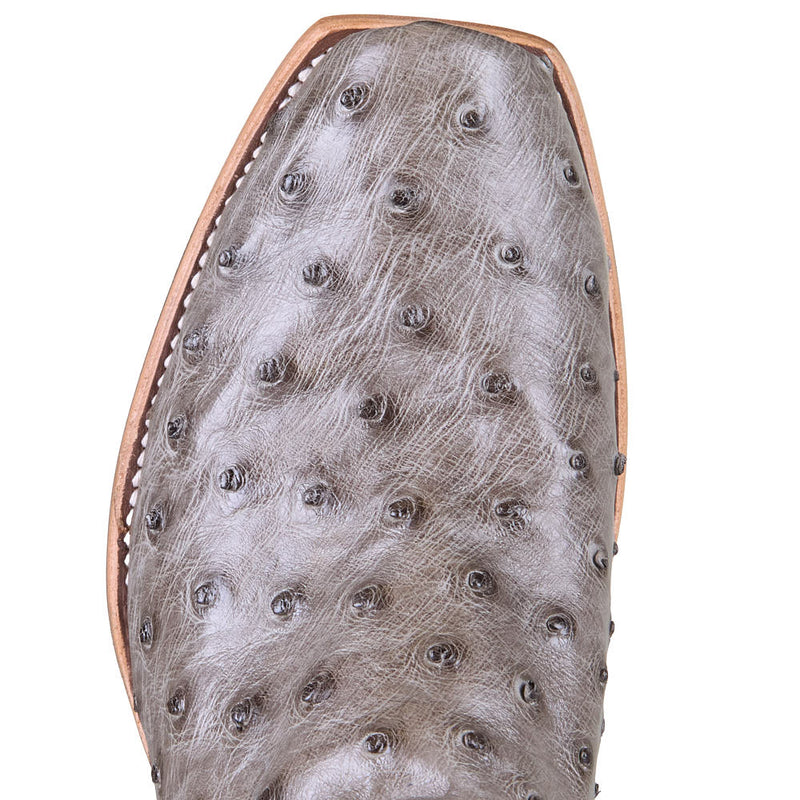 Horse Power Top Hand Men's Serpentine Bruciato Full Quill Ostrich Vamp 13in Black Avatar Top