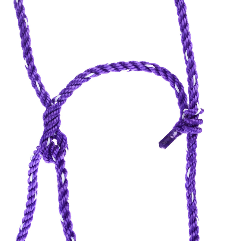 Sullivan Supply Cow Rope Halter Purple