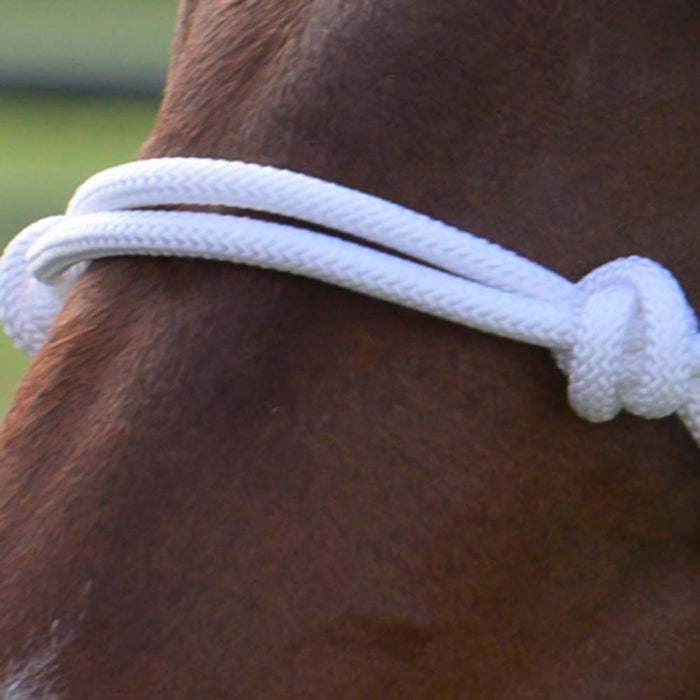 Professional's Choice White Rope Halter with Attached Lead Rope