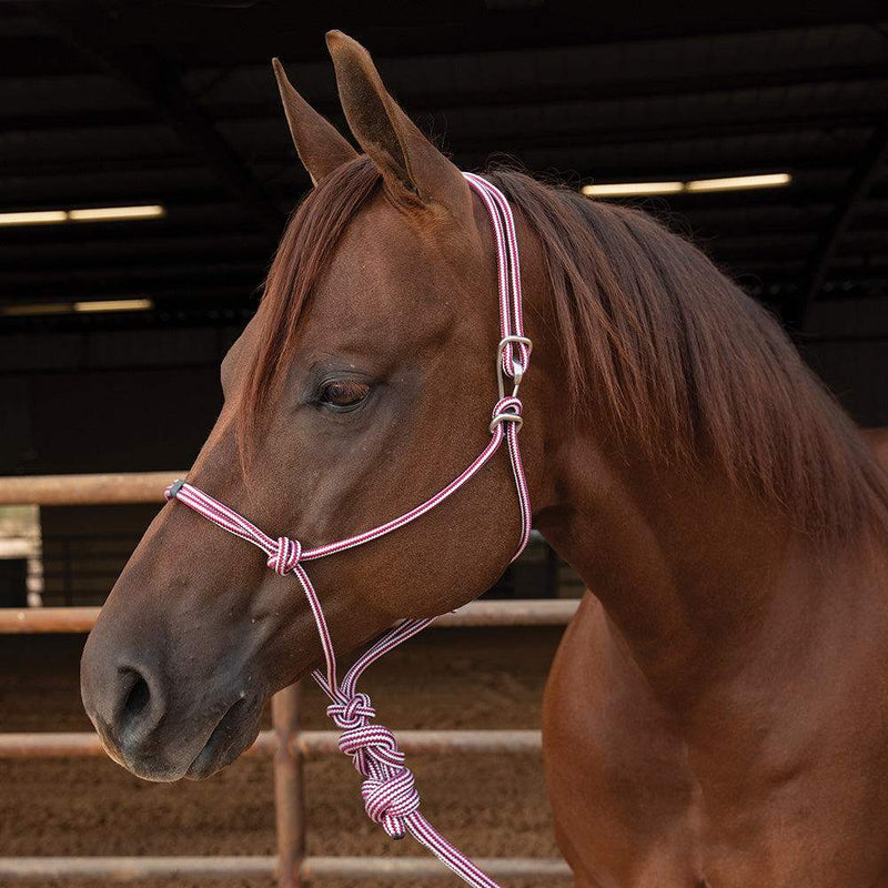 Professionals Choice Easy On Rope Halter