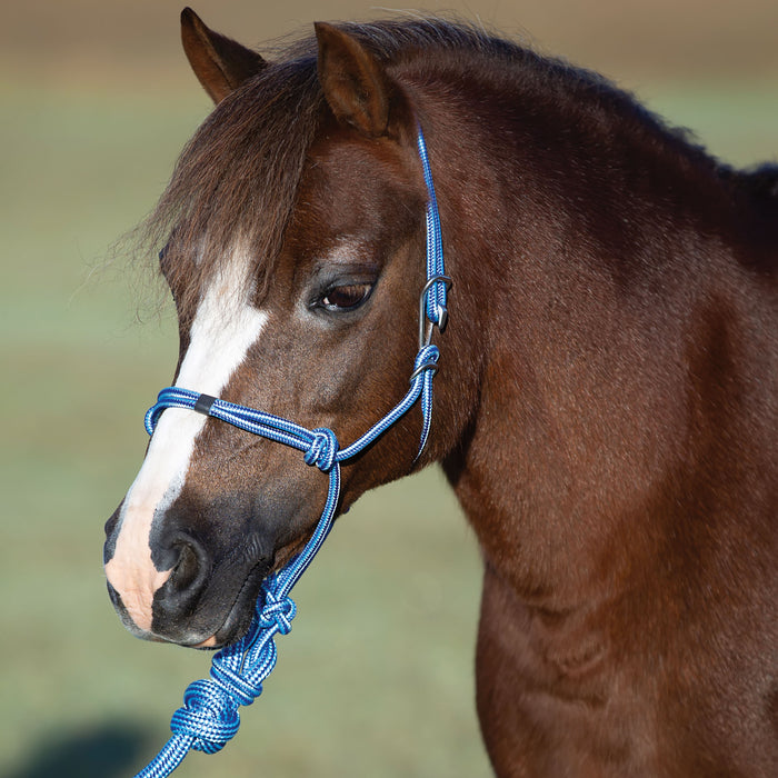 Professionals Choice Easy On Mini Pony Rope Halter with Attached Lead Rope