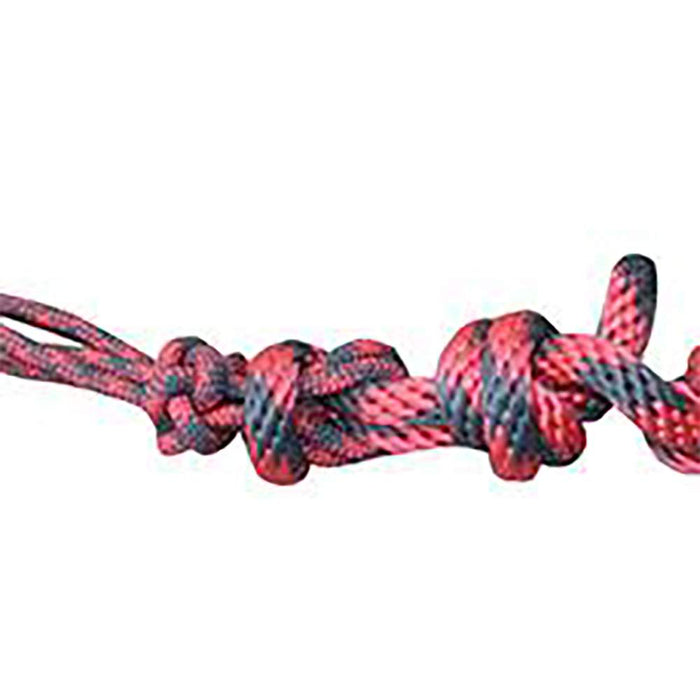 Professionals Choice Professional's Rope Halter w/10` Lead