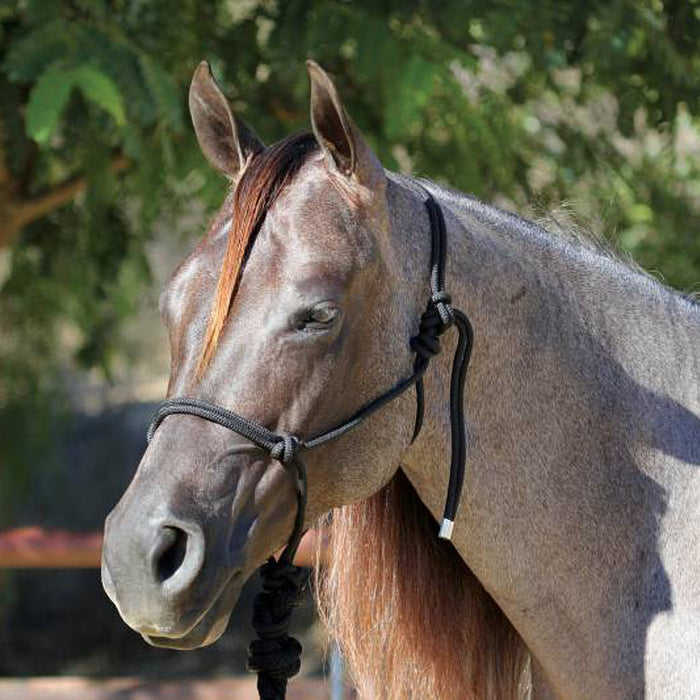 Professionals Choice Professional's Rope Halter w/10` Lead
