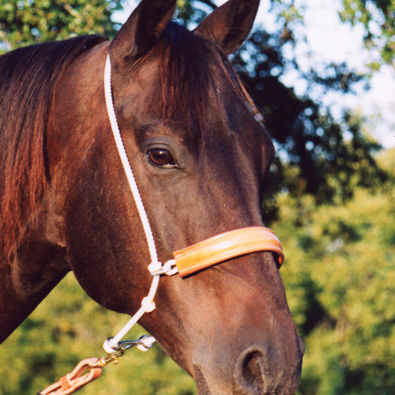 Martin Saddlery Rope Headsetter with Leather Covered Nosepiece
