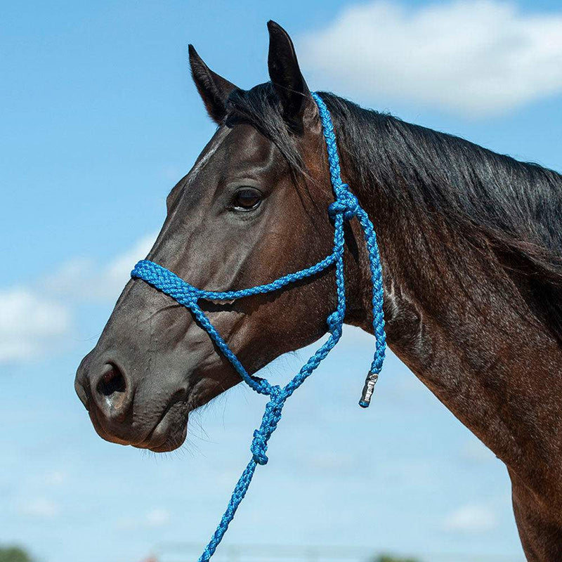 Cashel Company Flat Braid Halter w/9ft Lead