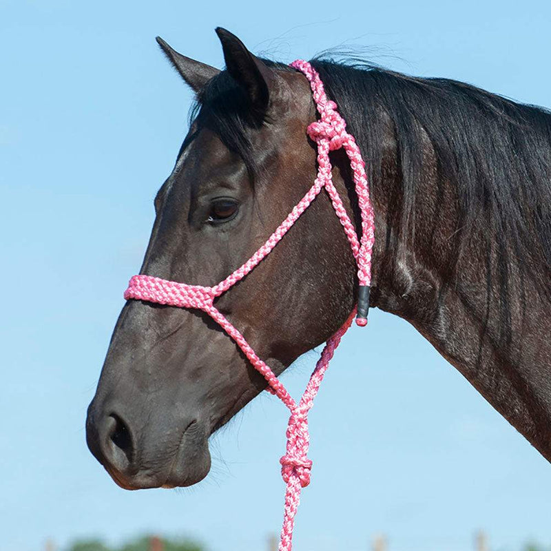 Cashel Company Flat Braid Halter w/9ft Lead