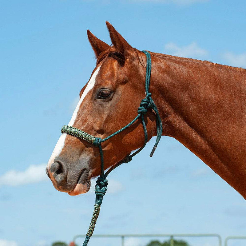 Cashel Company Camo Braided Rope Nose Halter