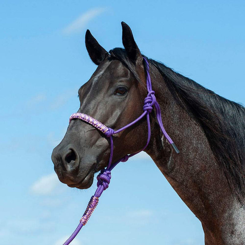 Cashel Company Camo Braided Rope Nose Halter