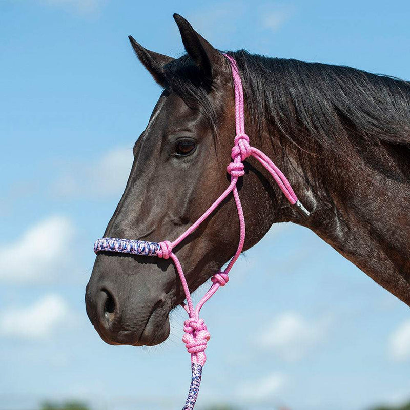 Cashel Company Camo Braided Rope Nose Halter