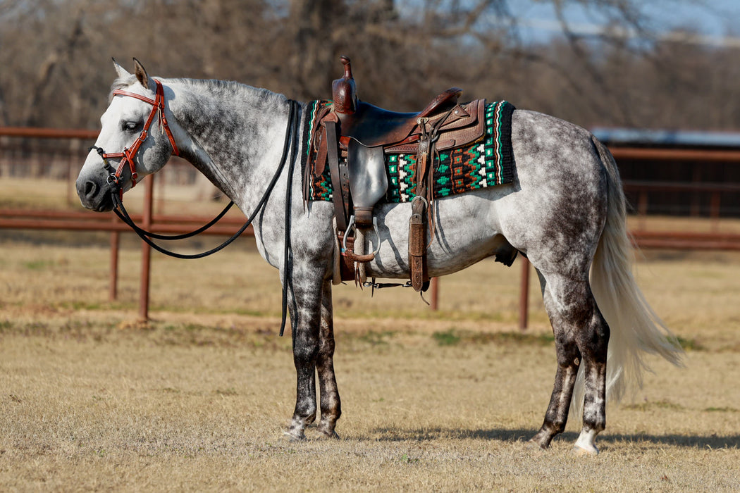 Mayatex Domino 40X34 New Zealand Wool Saddle Blanket