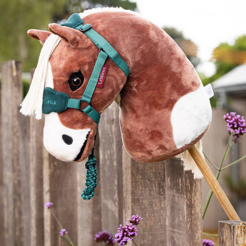 Lemieux Flash Hobby Horse