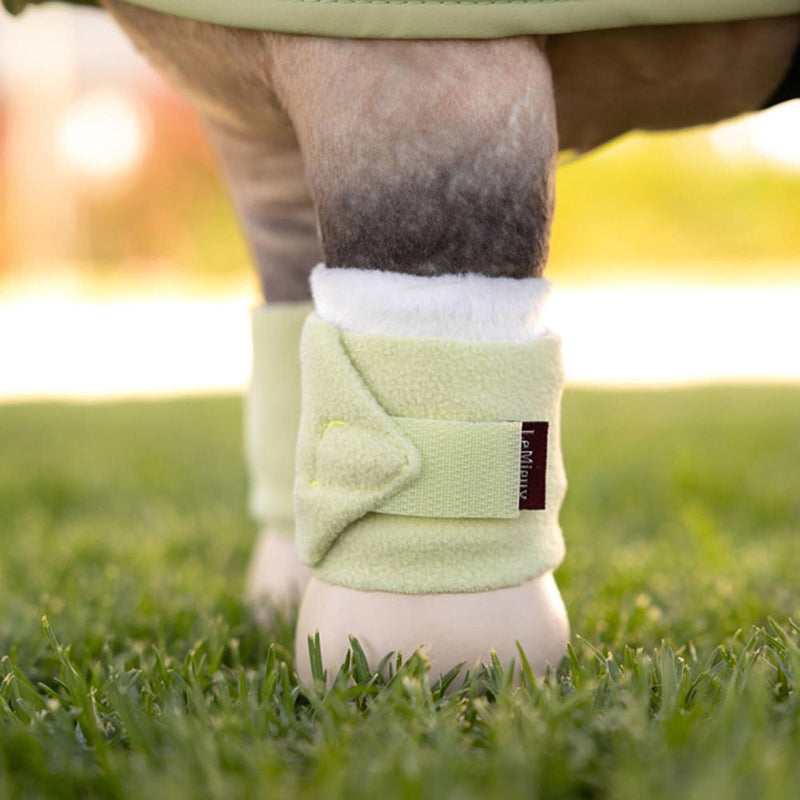 Lemieux Toy Pony Bandages Macaron