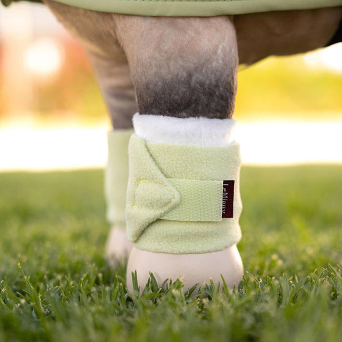 Lemieux Toy Pony Bandages Macaron