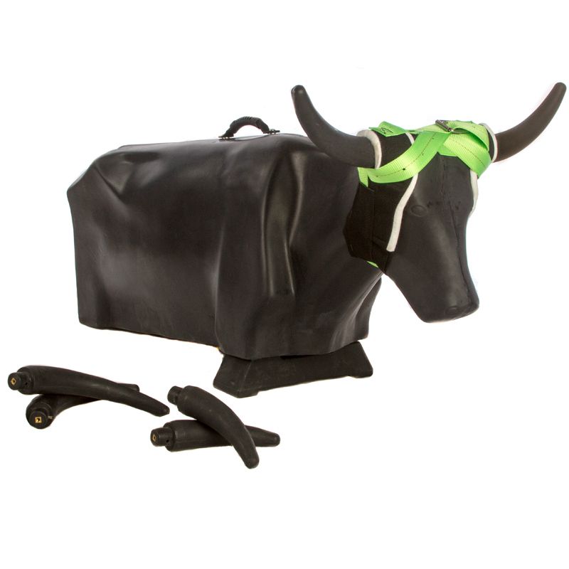 Hot Heels Inc. Black JakeSteer