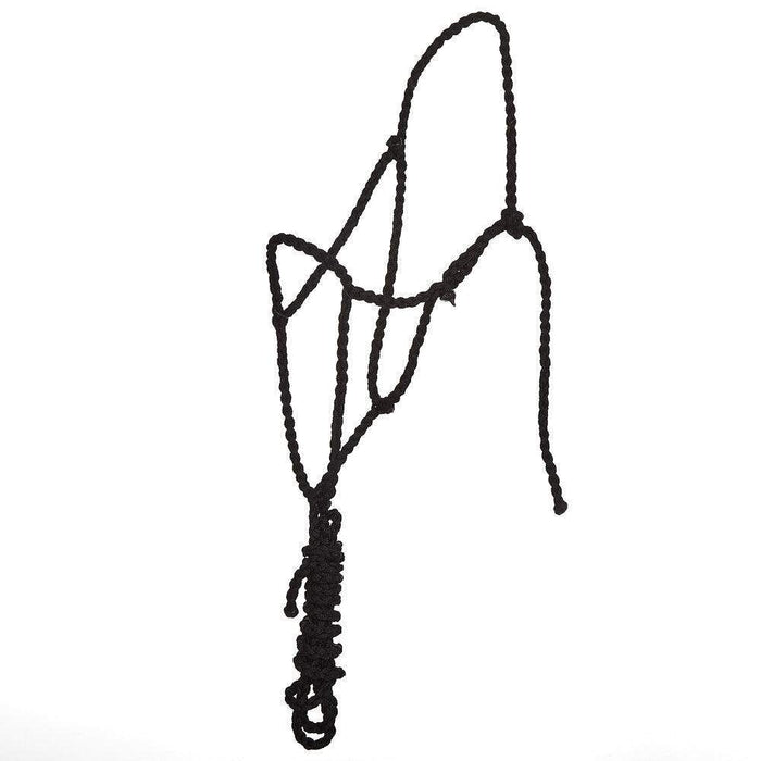 Jarett Freeman Custom Braiding Full Mule Tape Halter
