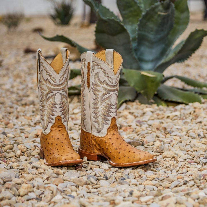 9 1/2 Women's Golden Brown Cowboy BOOTS / retailer Vintage Ostrich BOOTS / Men's 7 1/2 Vintage Boots